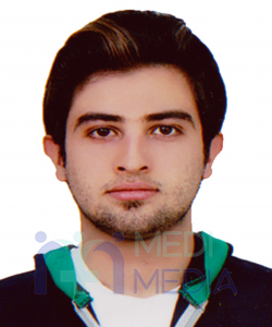 آقای دکتر سیدامیرطه هوائی
