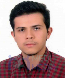 آقای دکتر مهدی محمدی