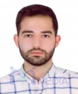 آقای دکتر محمد حسین بهرام بیگی