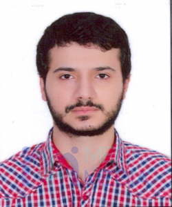 آقای دکتر محمد ادیب حویزاوی