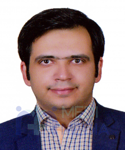 آقای دکتر حامد محبی پورکانی