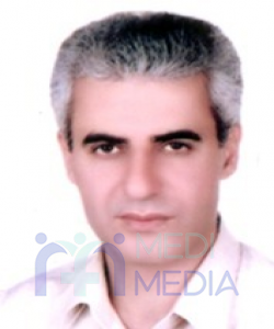 آقای دکتر محمدرضا مهرابی