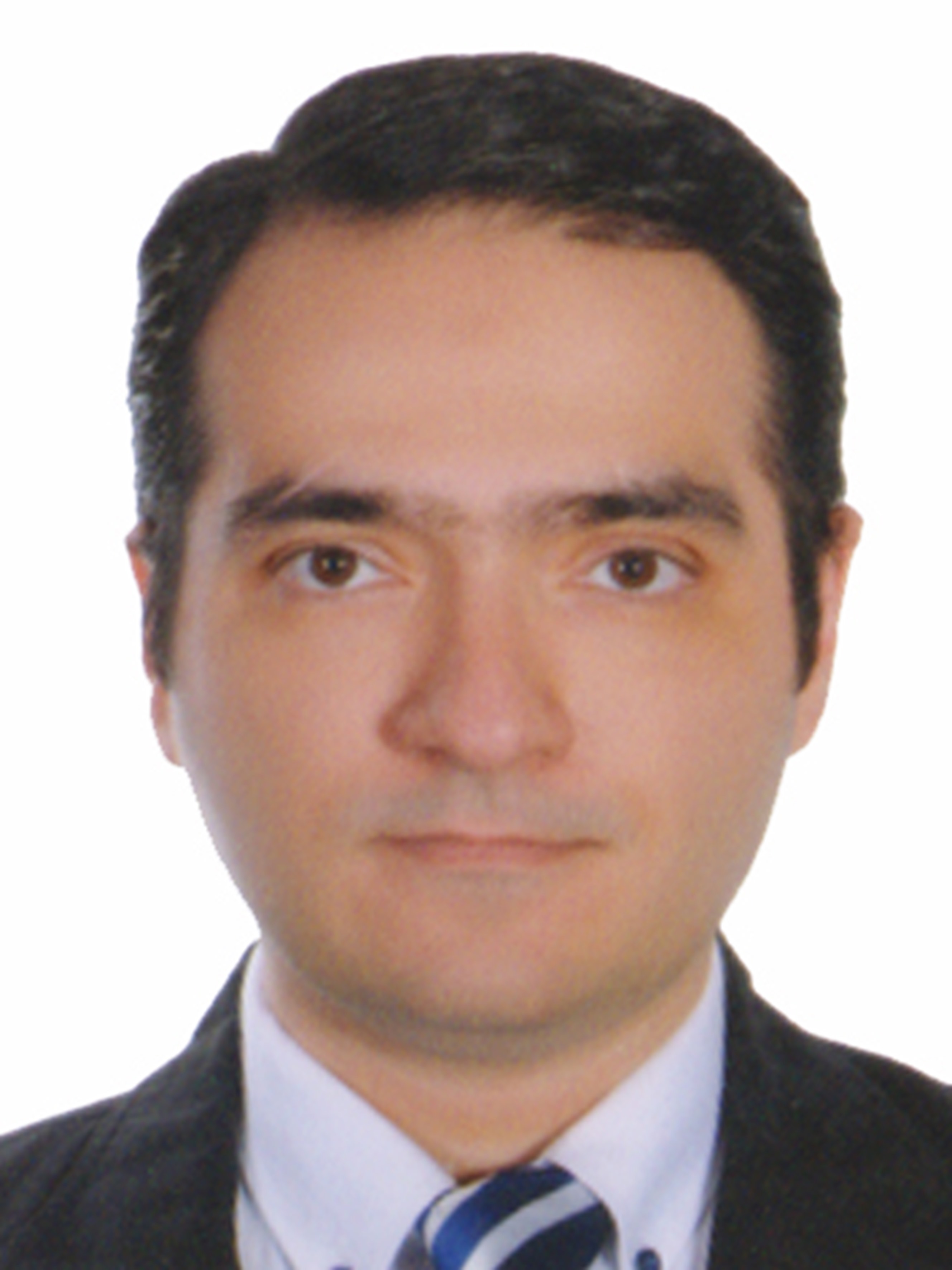 آقای دکتر محمدرضا رحیمی برغانی